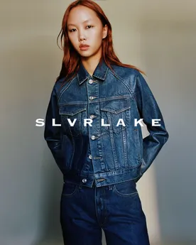 SLVRLAKE