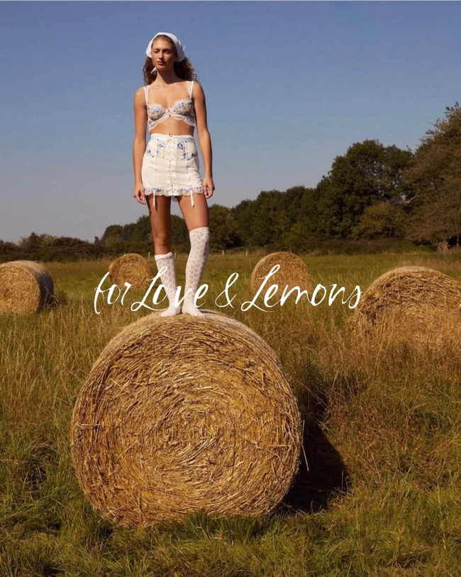 For Love & Lemons