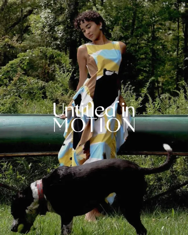 Untitled in Motion